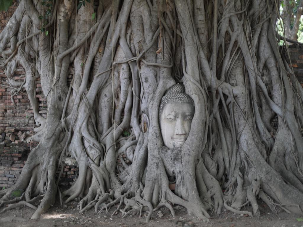Ayutthaya Temples - Full-Day Tour with Lunch