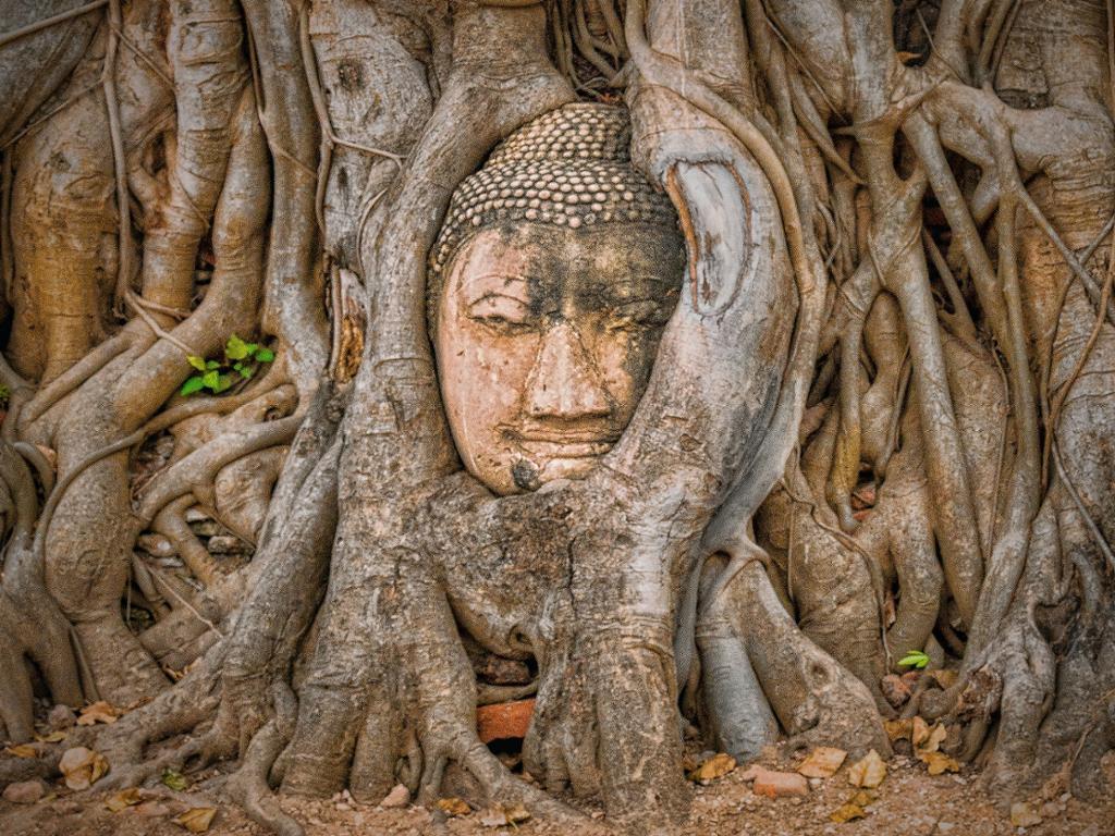 Discover Ayutthaya by Bus and Cruise - Full-Day Tour