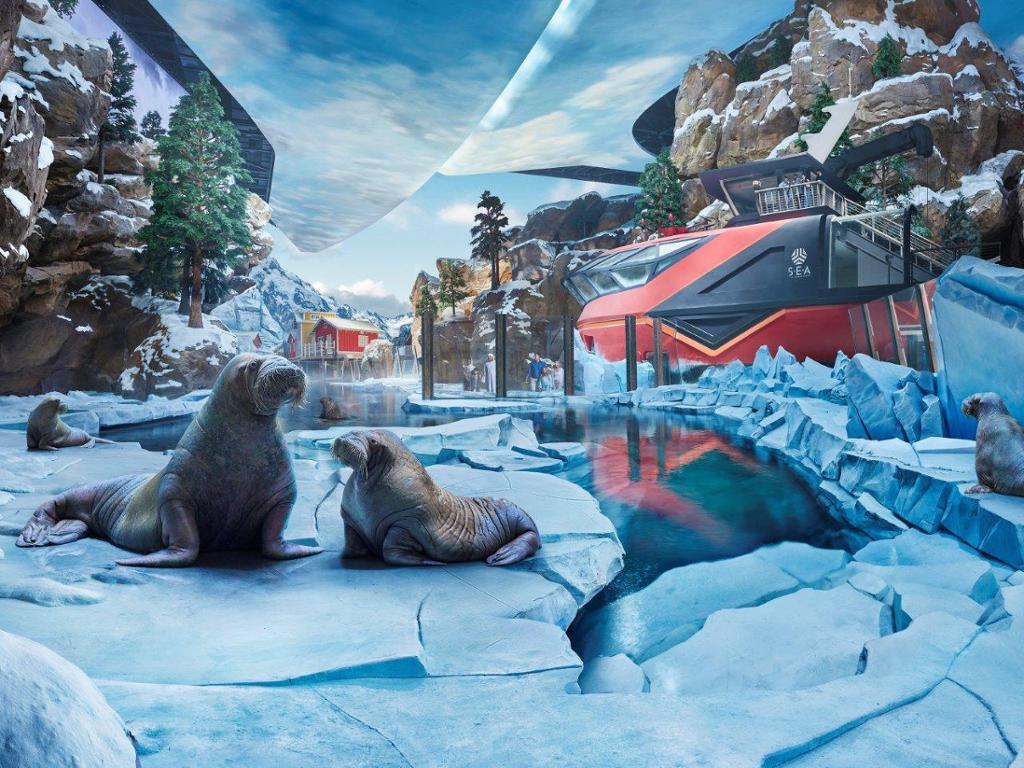 Yas Island Abu Dhabi - SeaWorld Abu Dhabi - Ticket