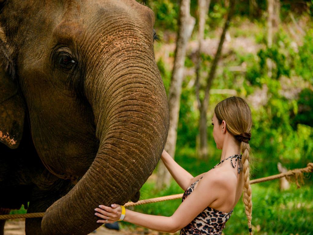 Happy Hour Feed and Rain Shower at Lily Elephant Camp