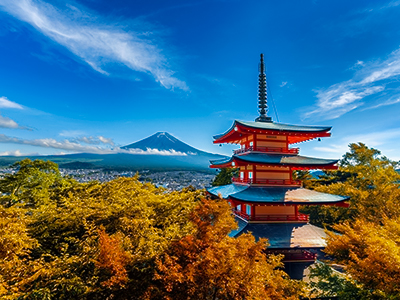 Cherry Blossom Dreams🌸 - Tokyo, Kyoto, Osaka (image 2)