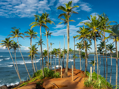 Galle, Hikkaduwa, Mirissa Escapade 🌊 - Galle, Hikkaduwa, Mirissa (image 3)